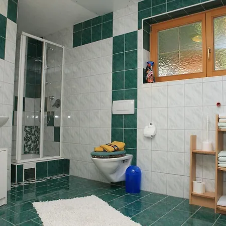 Apartament Ferienwohnung Romana St. Leonhard im Pitztal